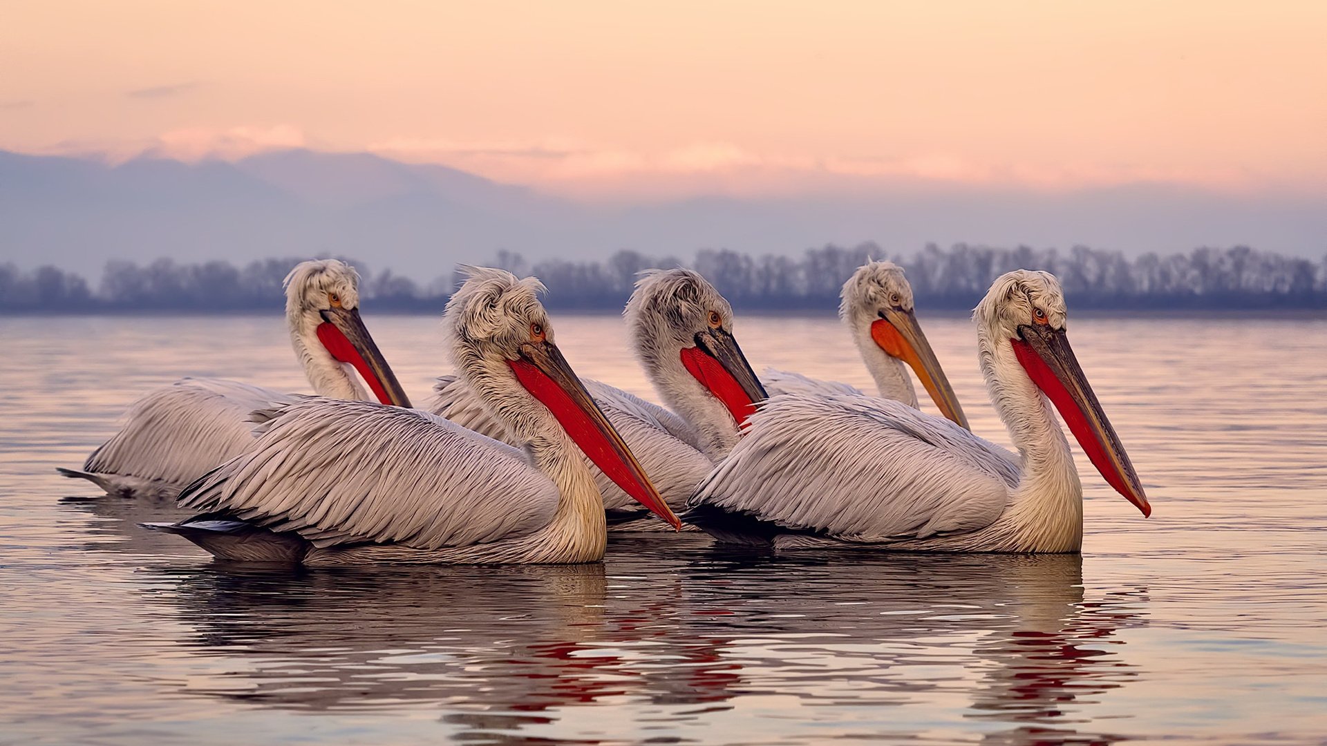 开云·体育官网-CS2 新赛季亮点战役回顾，cs2游戏