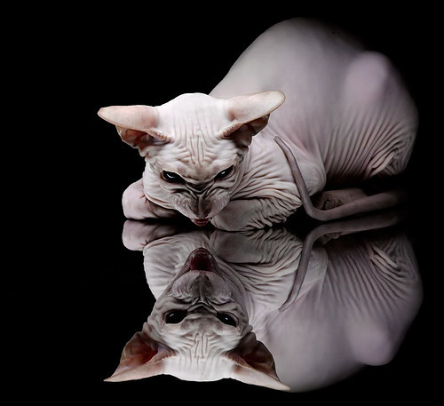 CS2 新赛季亮点战役回顾,cs2游戏